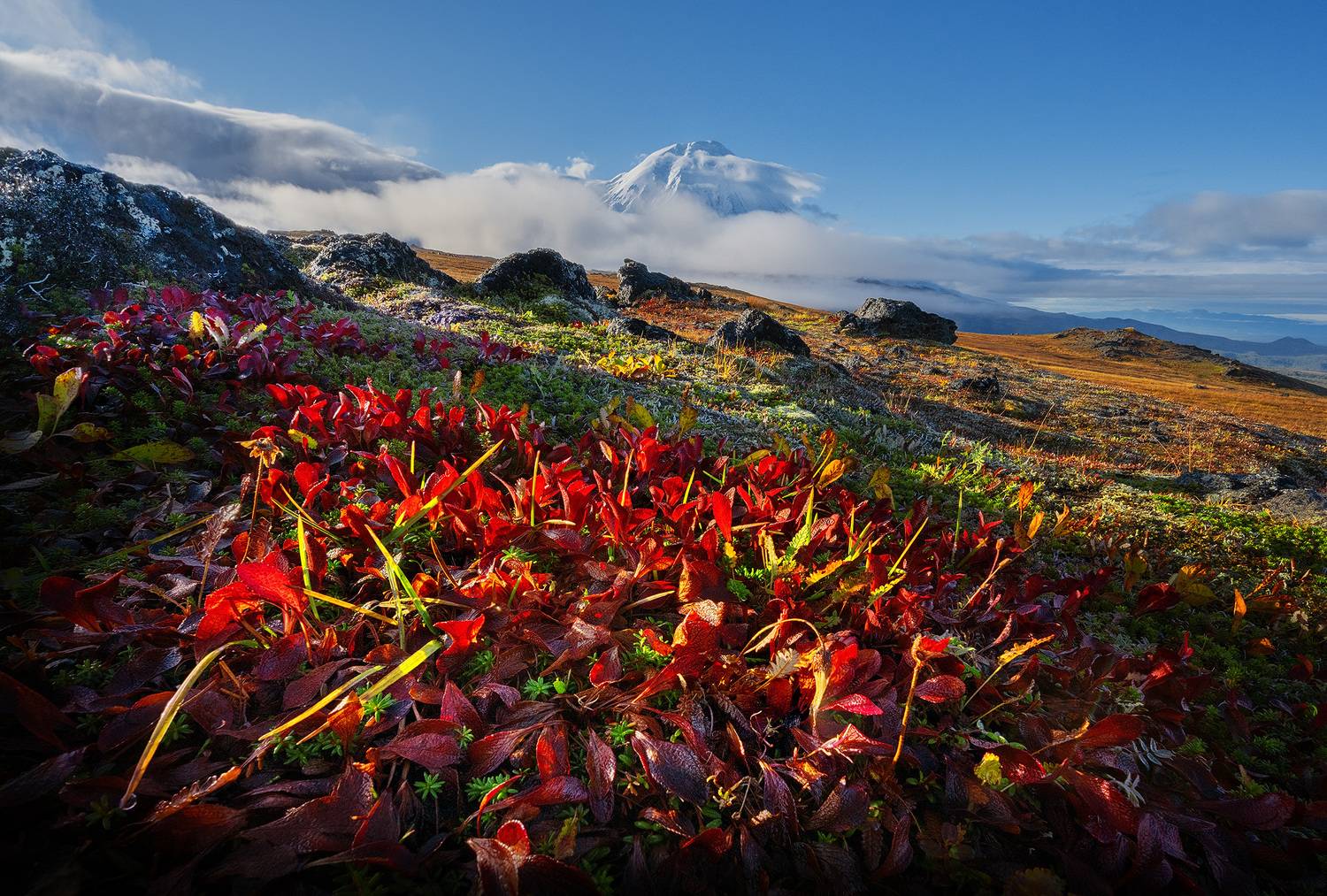, Андрей Родионов