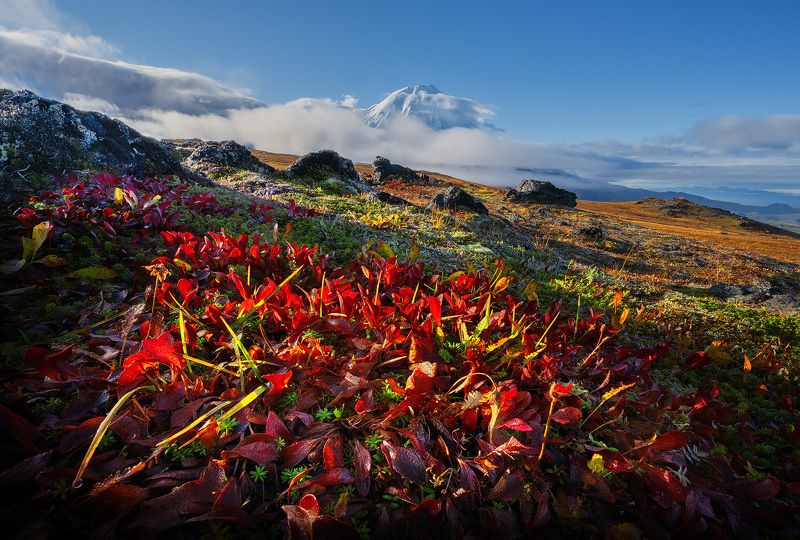Камчатка. Толбачик. фото превью