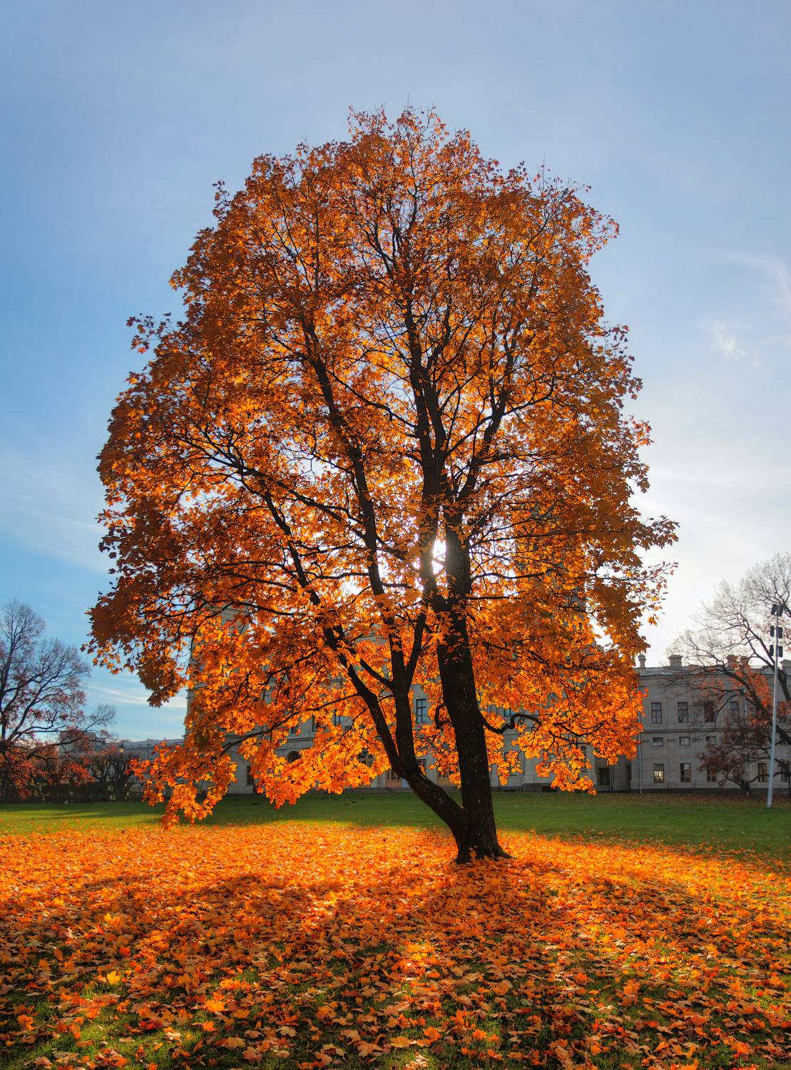 , Сергей Григорьев