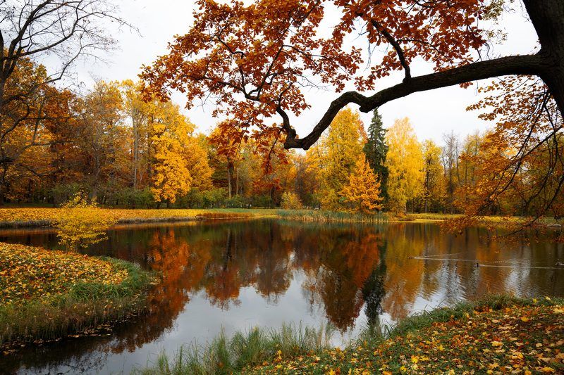 Очей очарованье фото превью