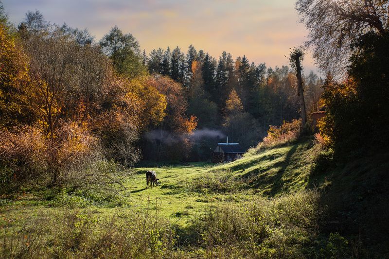 д.Полочанка недалеко от Минска фото превью