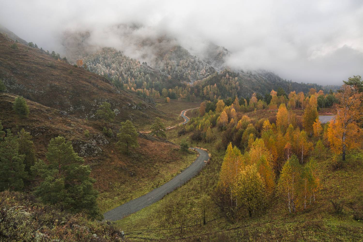 россия, горный алтай, туман, утро, лента дороги, осень, Андрей Поляков