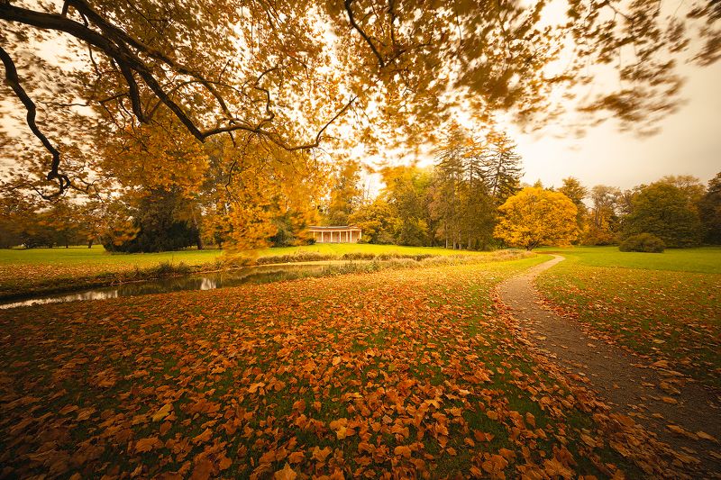 Autumn фото превью