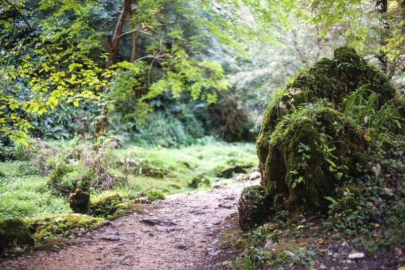 Тихо фото превью