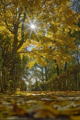 Москва. Золотая осень в усадьбе Кусково.
