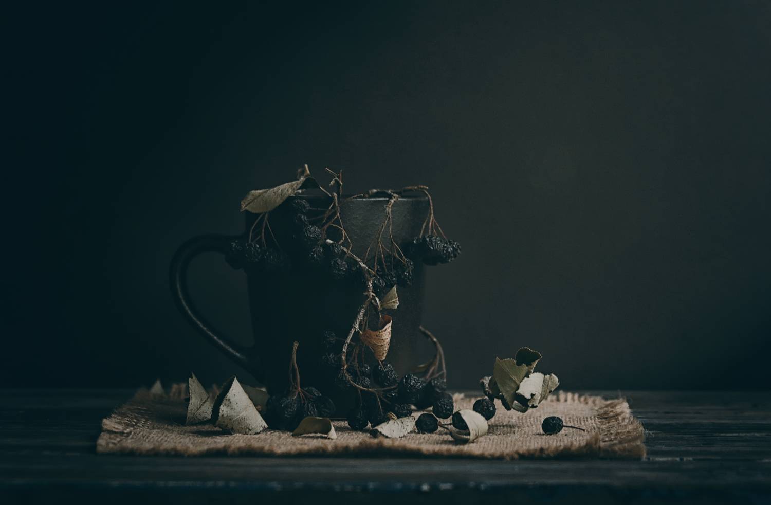 черноплодная, рябина, натюрморт, осень, Стасов Виталий