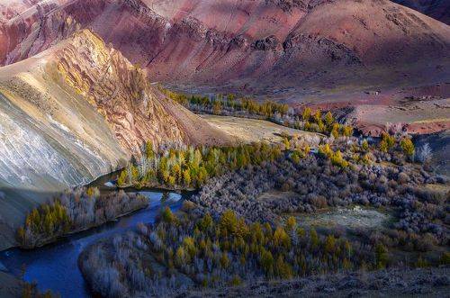 В долине Кызылшин