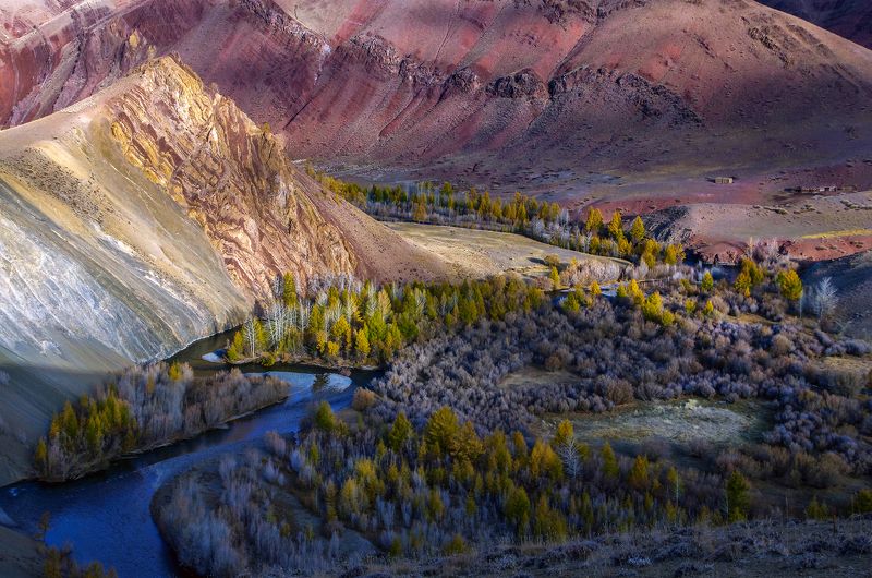 алтай, река, кызылшин, осень, вода В долине Кызылшин фото превью