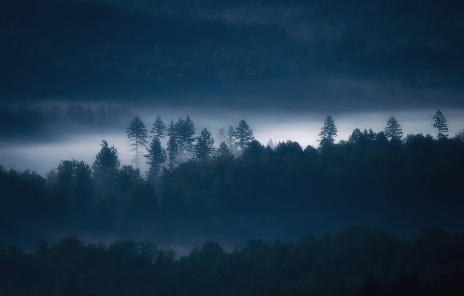 , Силантьев Даниил