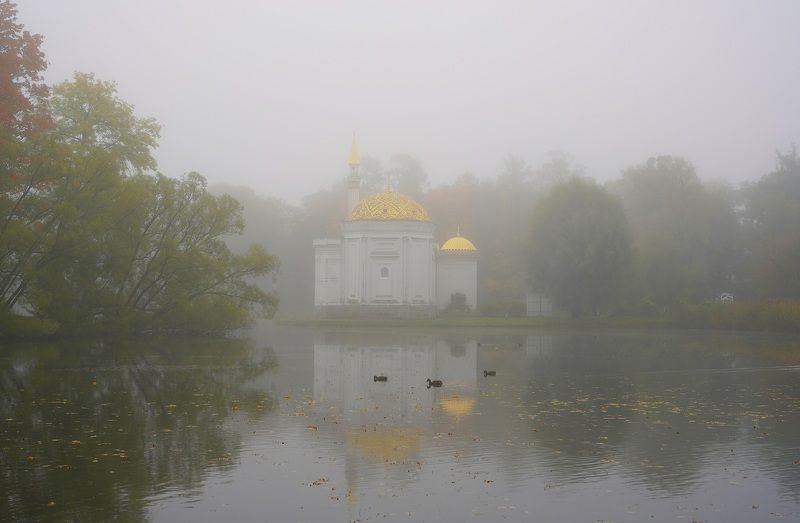 Foggy morning фото превью