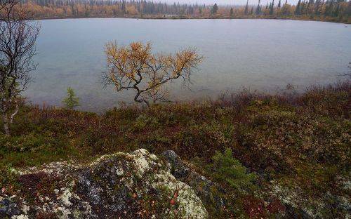 Хибины