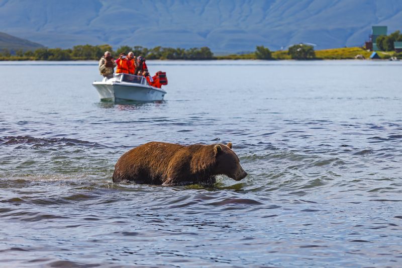 Как же вы мне надоели фото превью