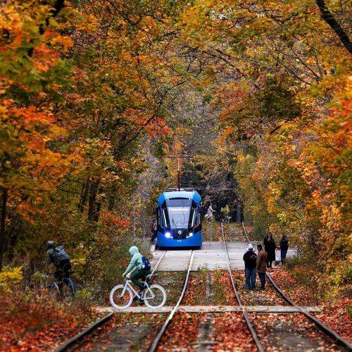 Осенний трамвай