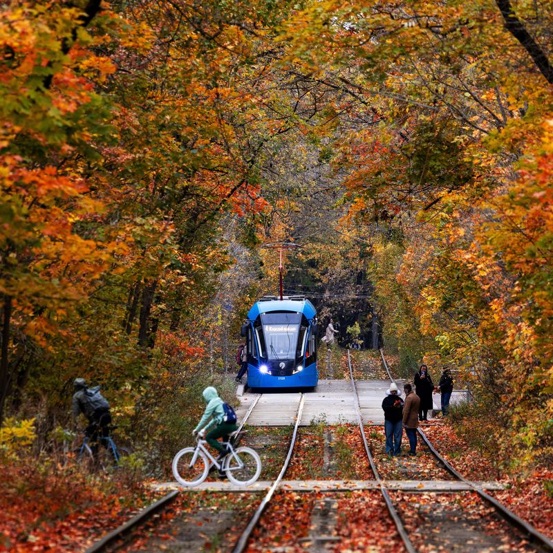 Трамвай. Осень Осенний трамвай фото превью