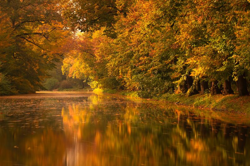 Autumn фото превью