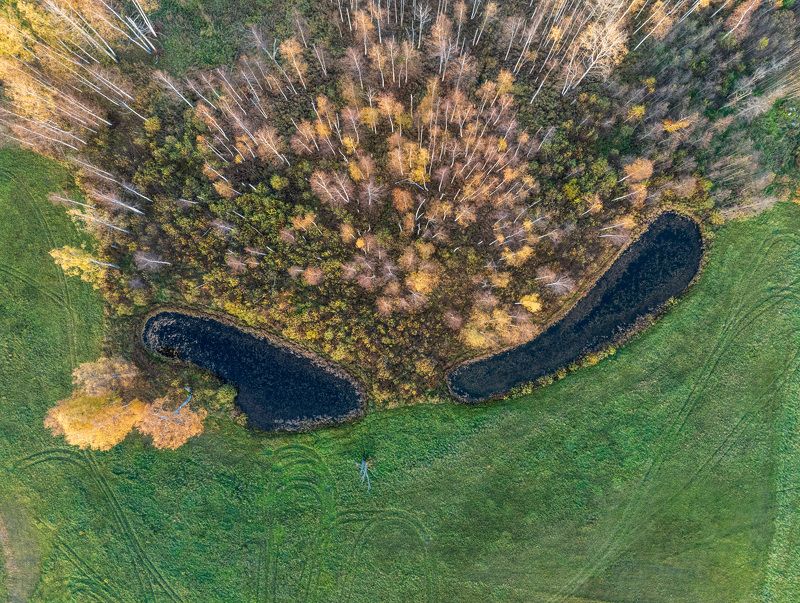 Глаза осени фото превью