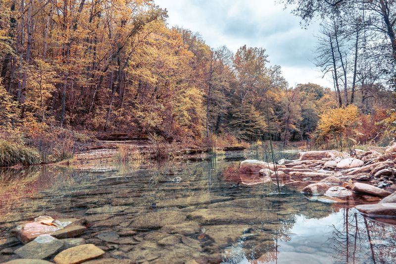 Палитра осени фото превью