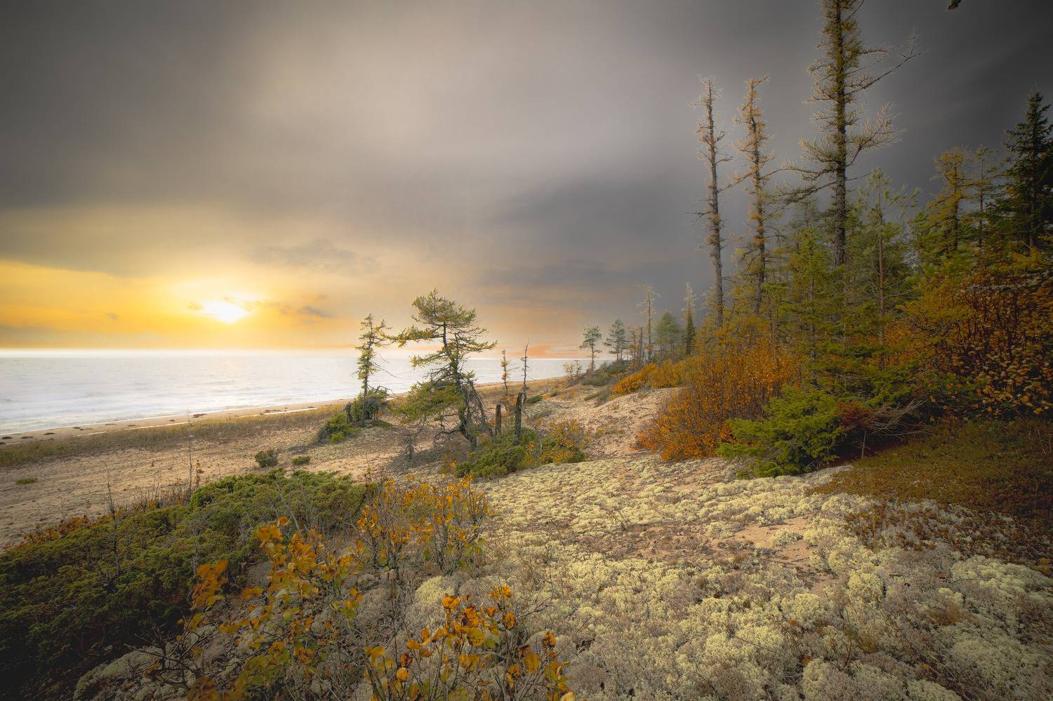 , Лаврентьев Александр