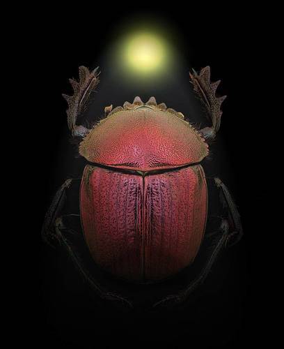 Египетский пурпурный