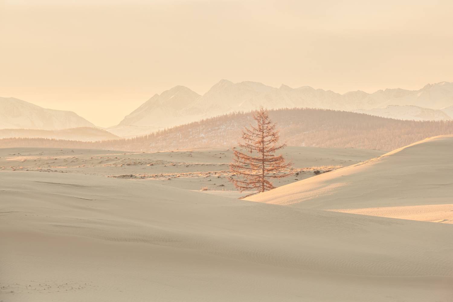 , Евдокимов Максим