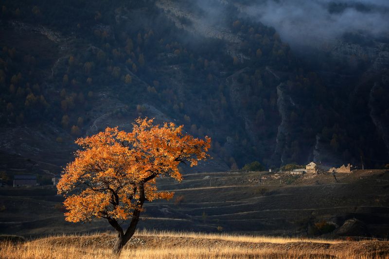 Золото Дагестана фото превью