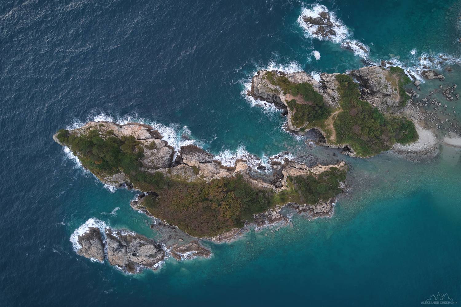 , Чехонин Александр