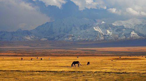 Утро в горах