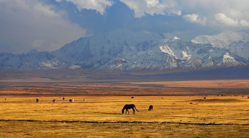 Утро в горах фото превью