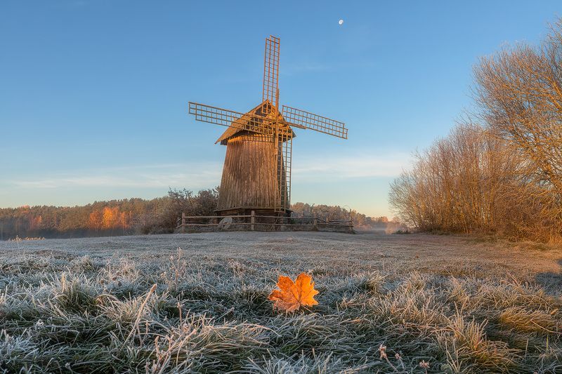 фототур, туризм, псковская область, пушгоры, обучение фотографии, осенний тур, октябрь, михайловское, мельница, Пробуждение от инея, осенним утром. фото превью