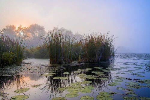 Рассвет на озере Студёное.