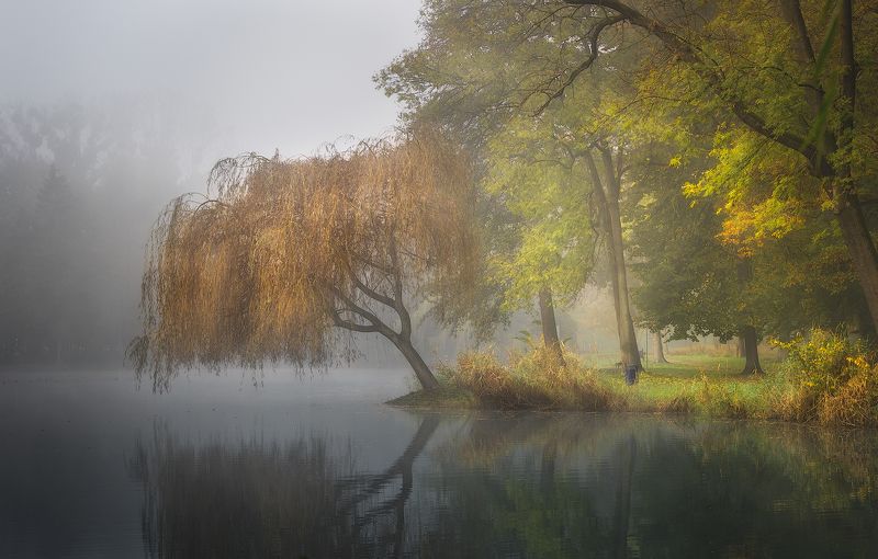 Autumn фото превью