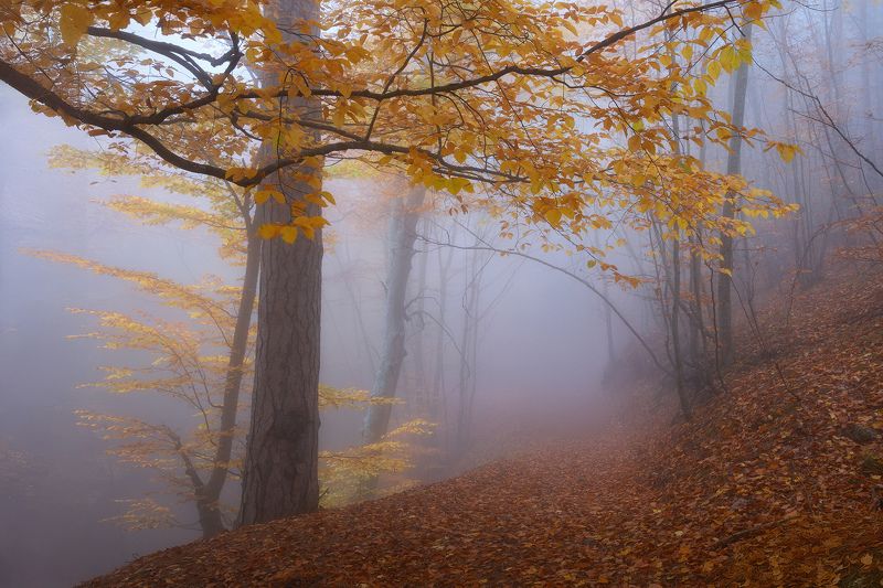 ***** фото превью