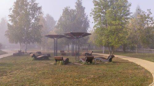 Утром в парке.