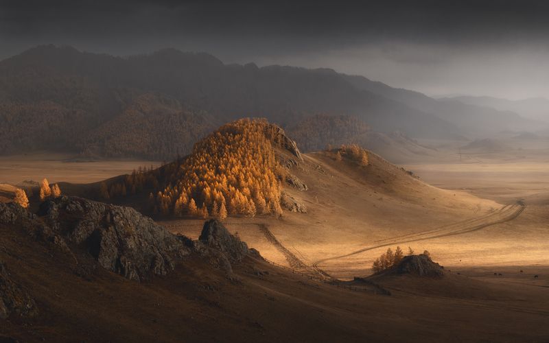 После дождя фото превью