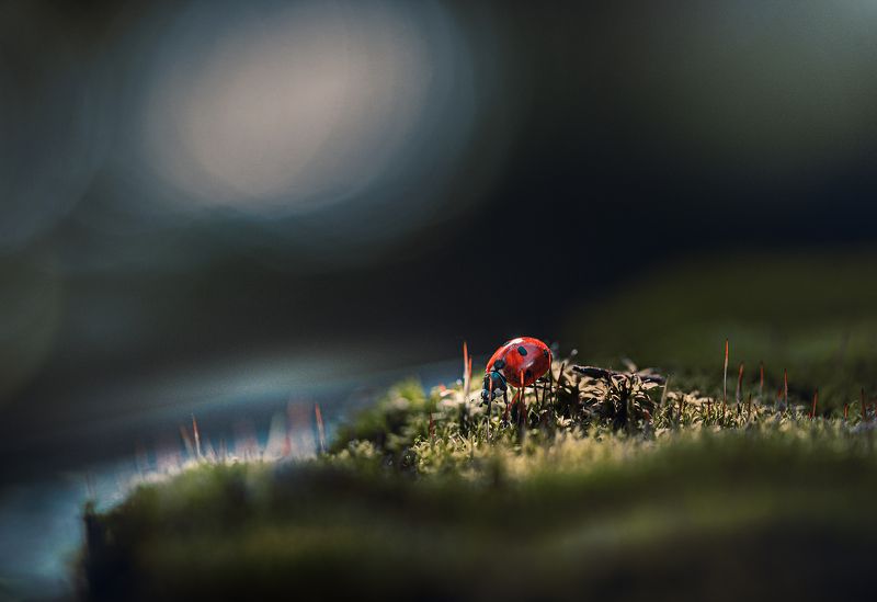 У последнего моря фото превью