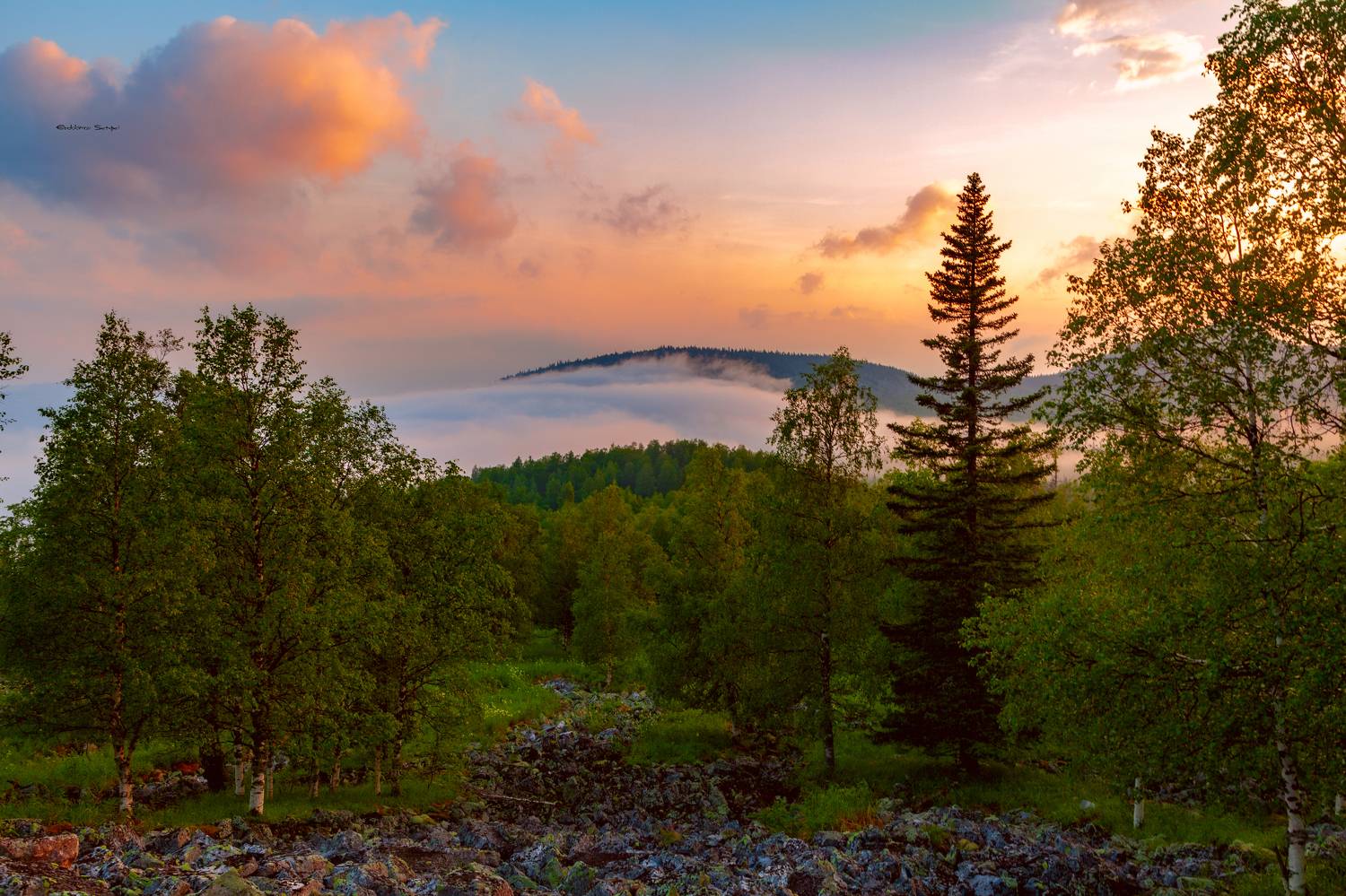 , Евдокимов Сергей