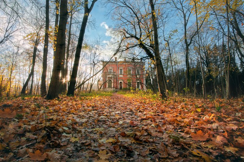 осень, листва, осень, усадьба В заброшенном парке фото превью