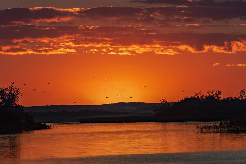 Снова птицы в стаи собираются... фото превью