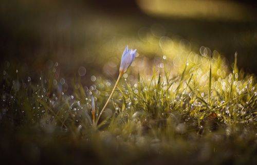 Осеннее пробуждение.