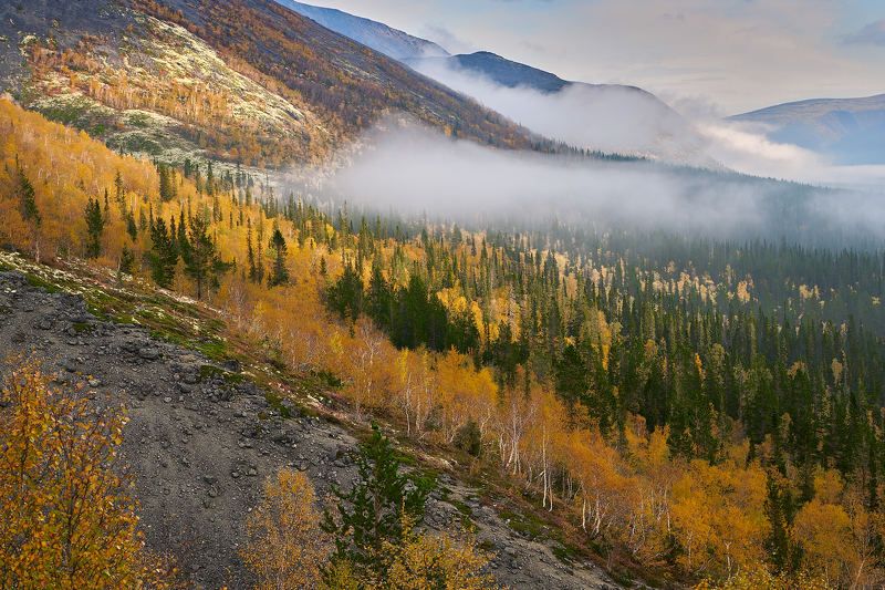 Хибины, туман, осень Хибины. Осенние туманы фото превью
