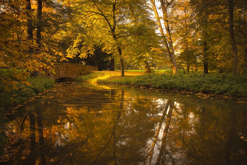 Autumn фото превью
