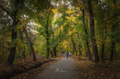 Осенняя прогулка в роще Баума...