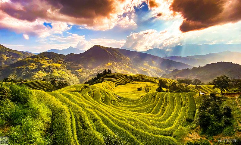 quanphoto, landscape, sunset, sundown, rays, sunlight, valley, rice, terrace, farmland, agriculture, culture, rural, vietnam, golden Golden Rice Terraces фото превью