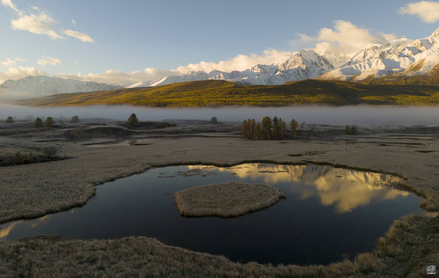 джангысколь, Ковалев Дмитрий