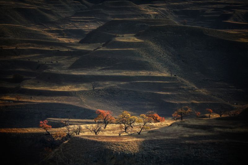 В лучах осеннего солнца