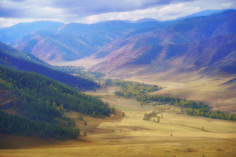 алтай  осень цвет багрянец золото лес горы пейзаж красота Цветной Алтай фото превью