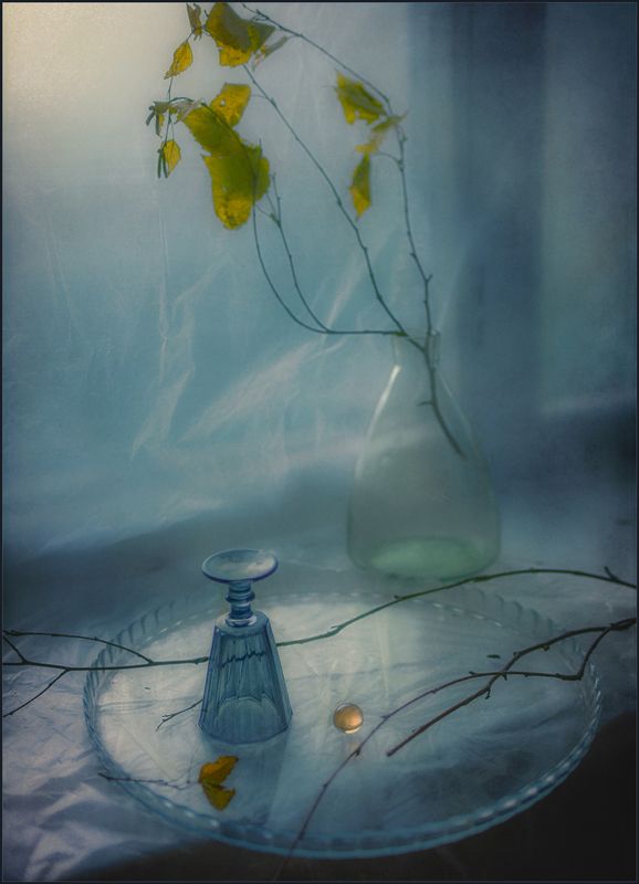 Прохладно.. фото превью