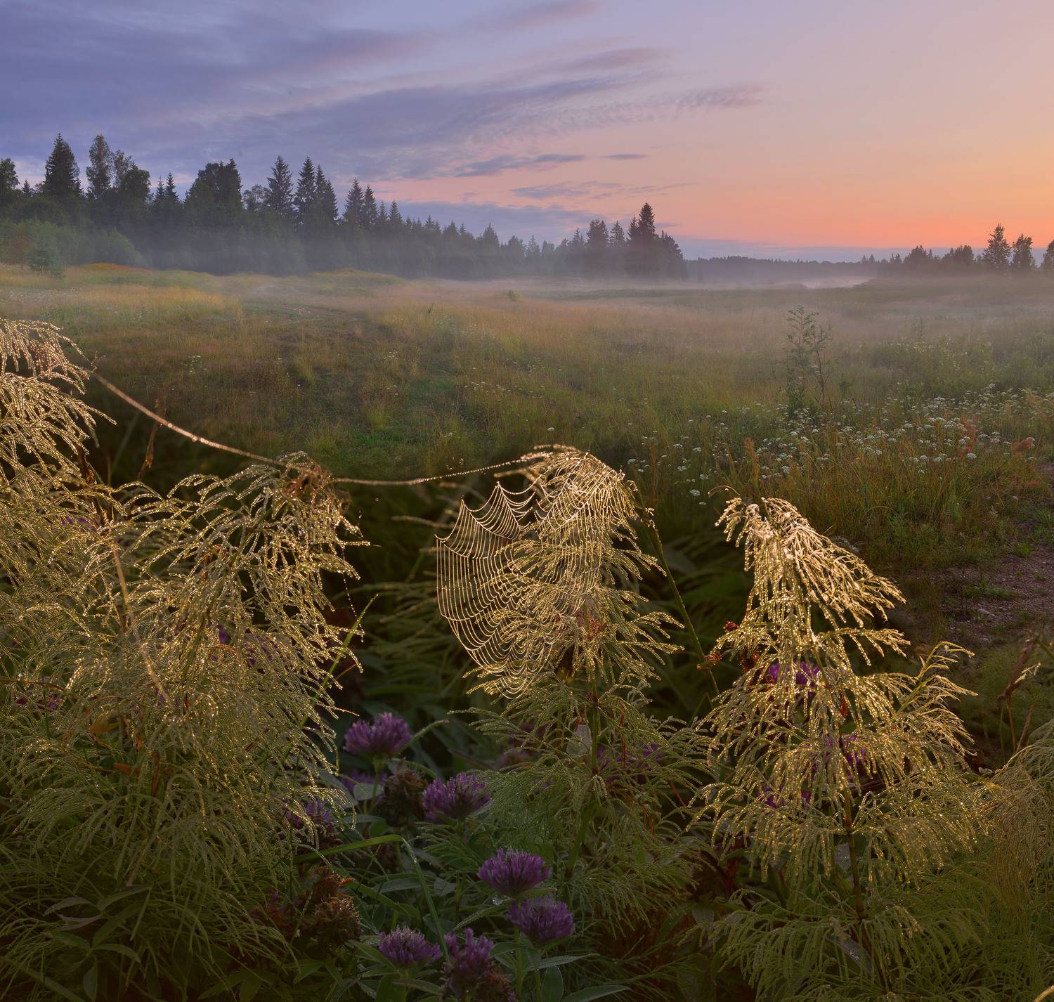 Фототуры с Владимиром Рябковым, #topnature #russpasibo #magic_shots #lovelyRussia #sunset_vision #exclusive_sky  #exclusive_shots #loves_russia2 #photoarena_nature #nature_sultans #nature_perfection #rsa_sky #rsa_sunset #photorussia #rsa_naturepics #sunse, Владимир Рябков