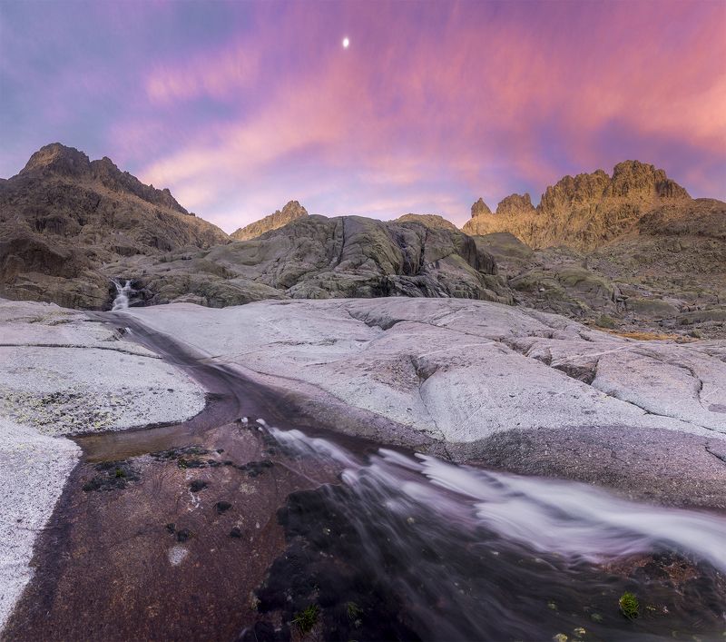 photography, mountain, spring, flower, landscape, photo, awakening, flowers, land, landmark, lands, dramatic ligth, ligth, mountains Romulus фото превью