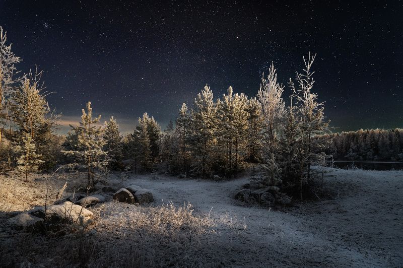 Первый снег в свете луны фото превью
